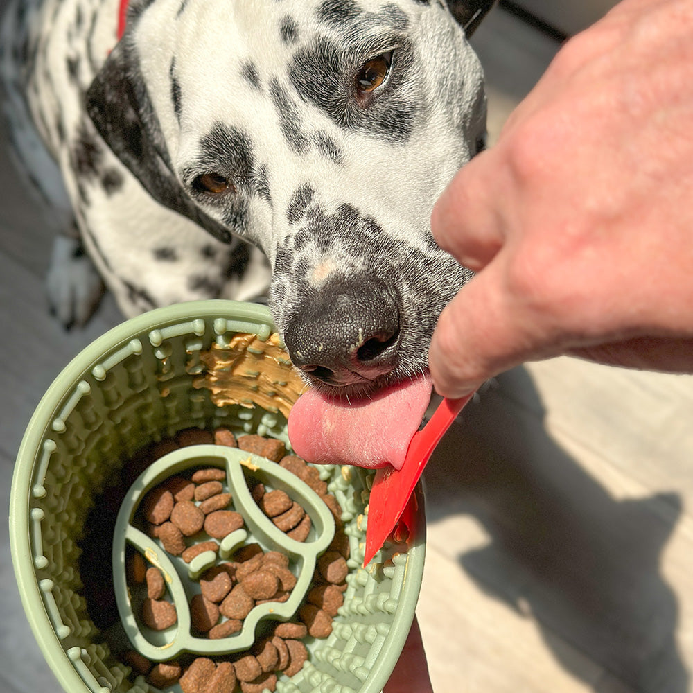 9 ceramic dog bowls with lip Dog Food/Water Bowl main image 1