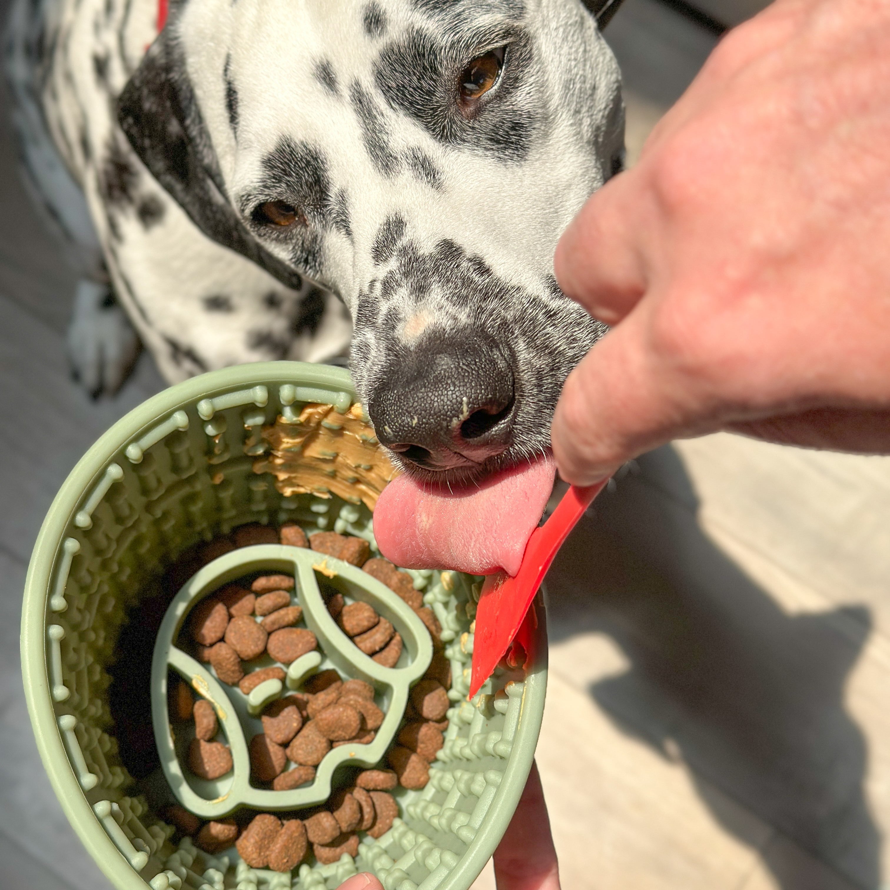 Silicone Slow Feeder Cup Bowl with Suction Cup Base | Puzzle Feeder for Dogs and Cats image 1