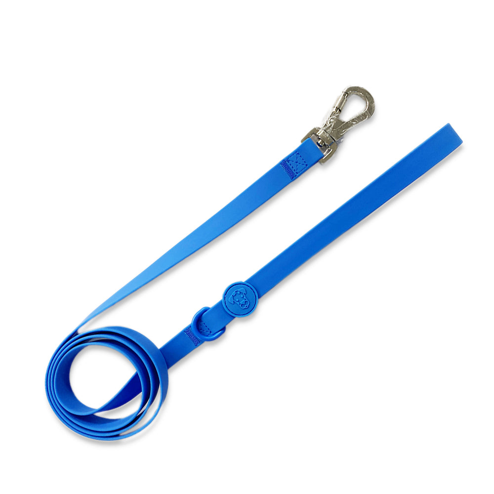 Dog Walk Bundle | Leash & Collar image 18