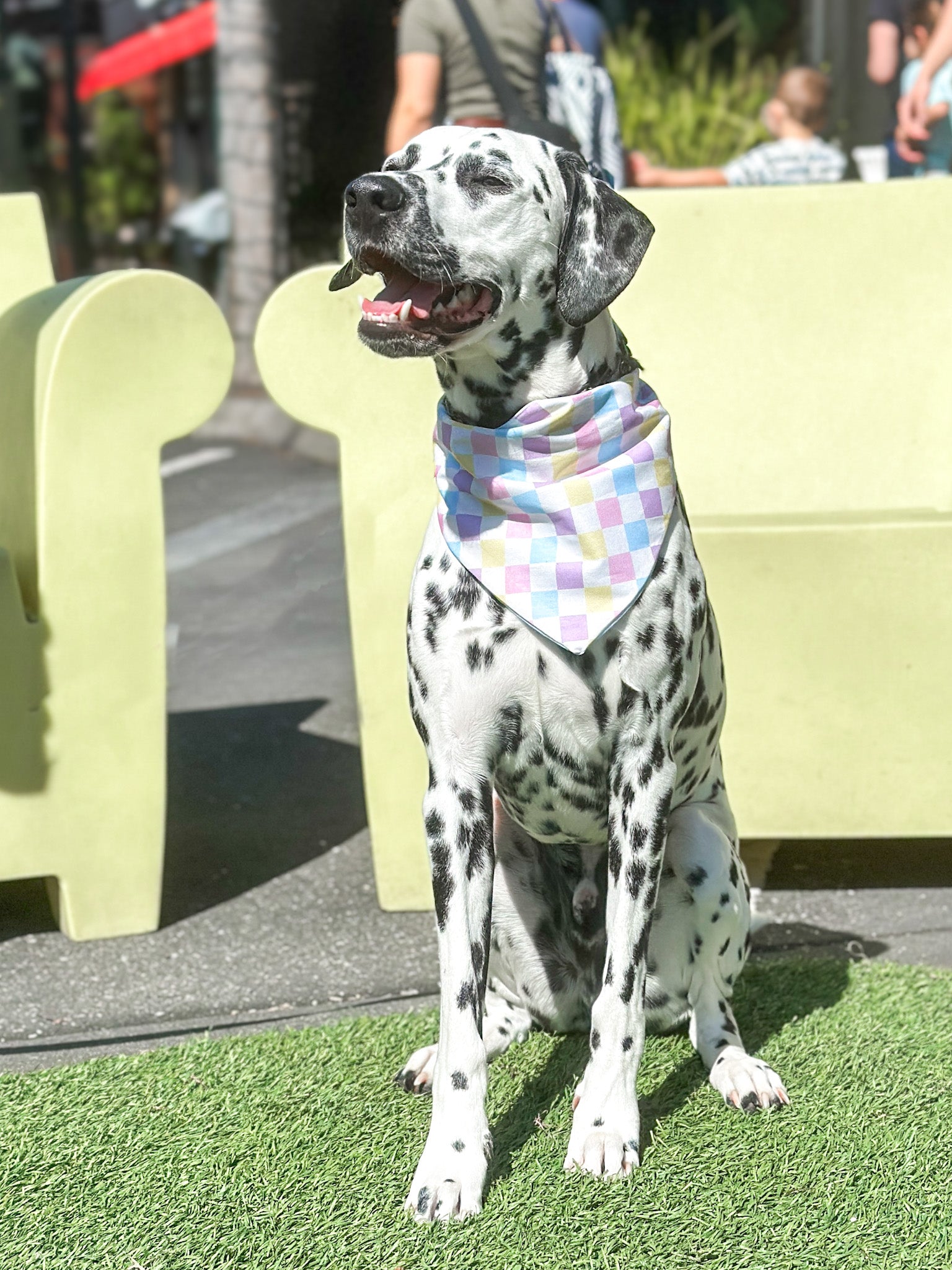 Spring Checkered Dog Bandana - Bright and Colorful image 4