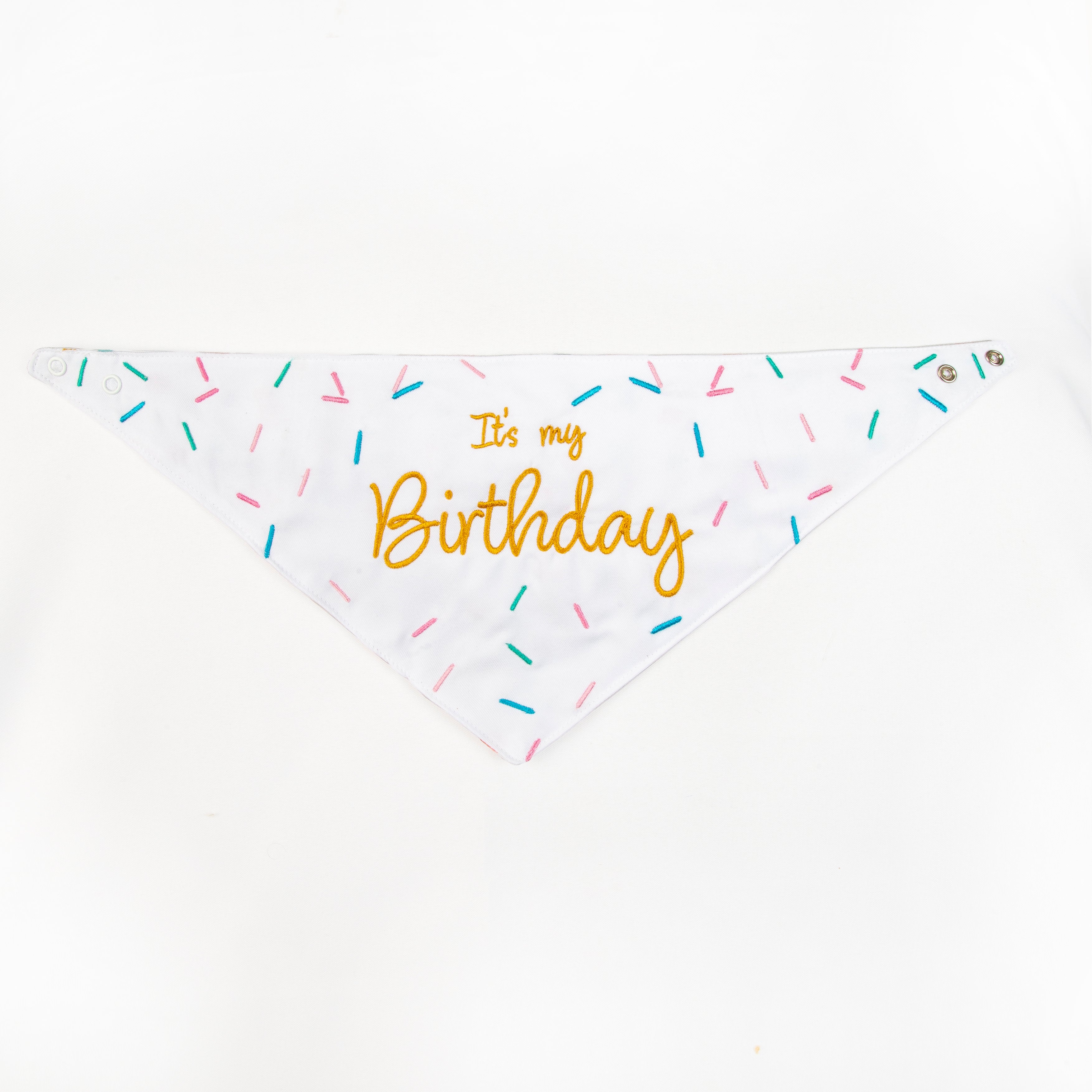 Pawty Time Birthday Bandana for Dogs Colorful image 2