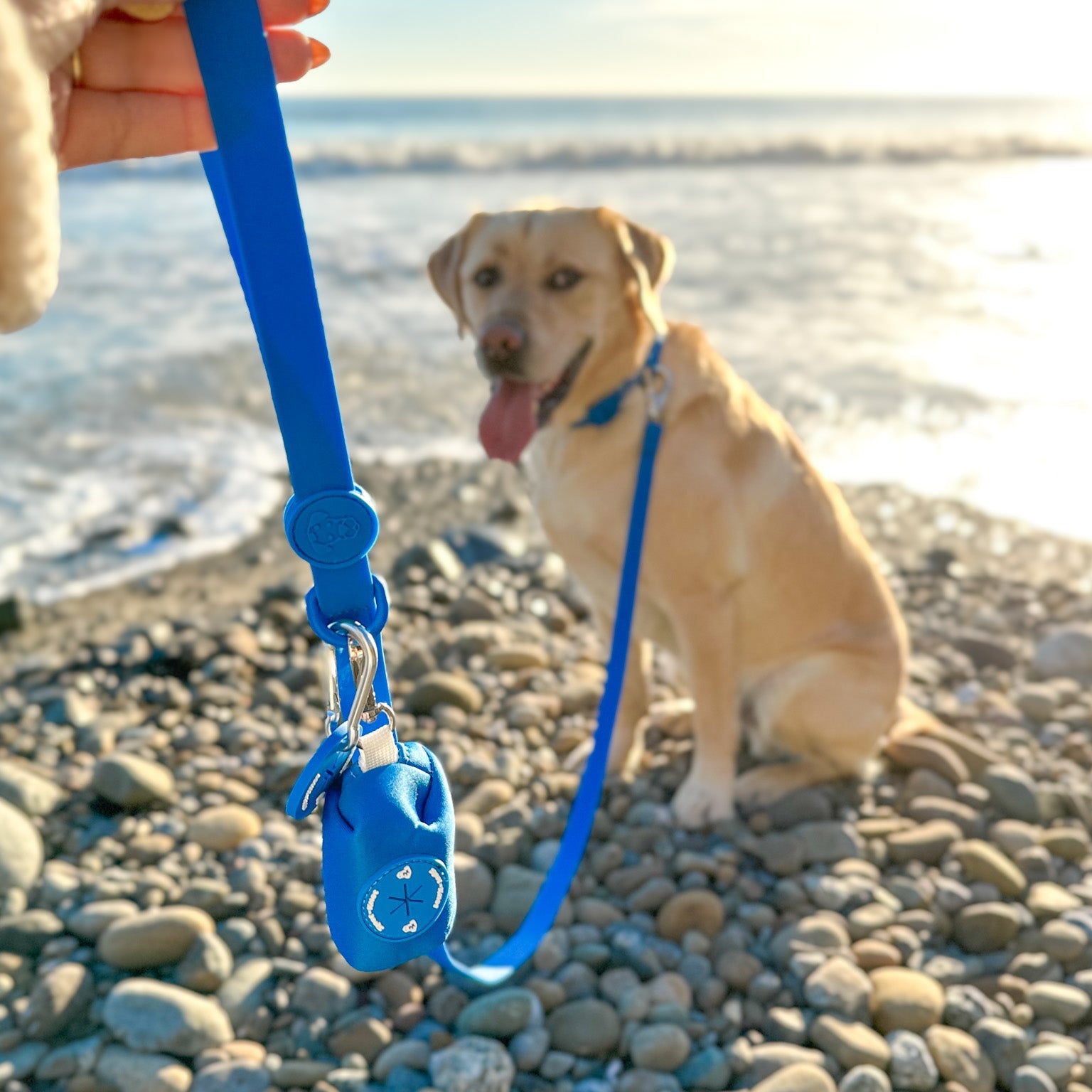 The Essential Poop Bag Holder image 5