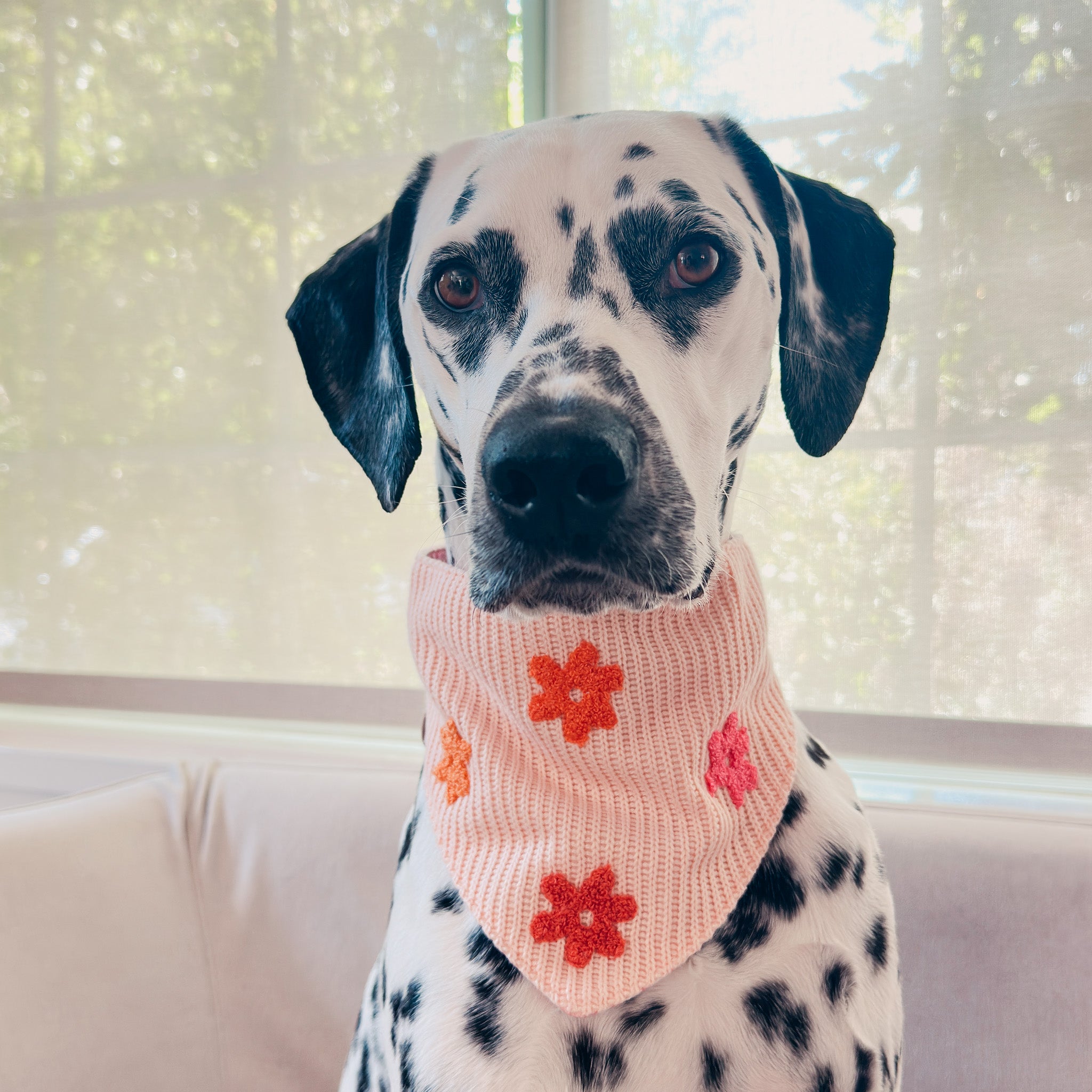 Blooming Pet Bandana