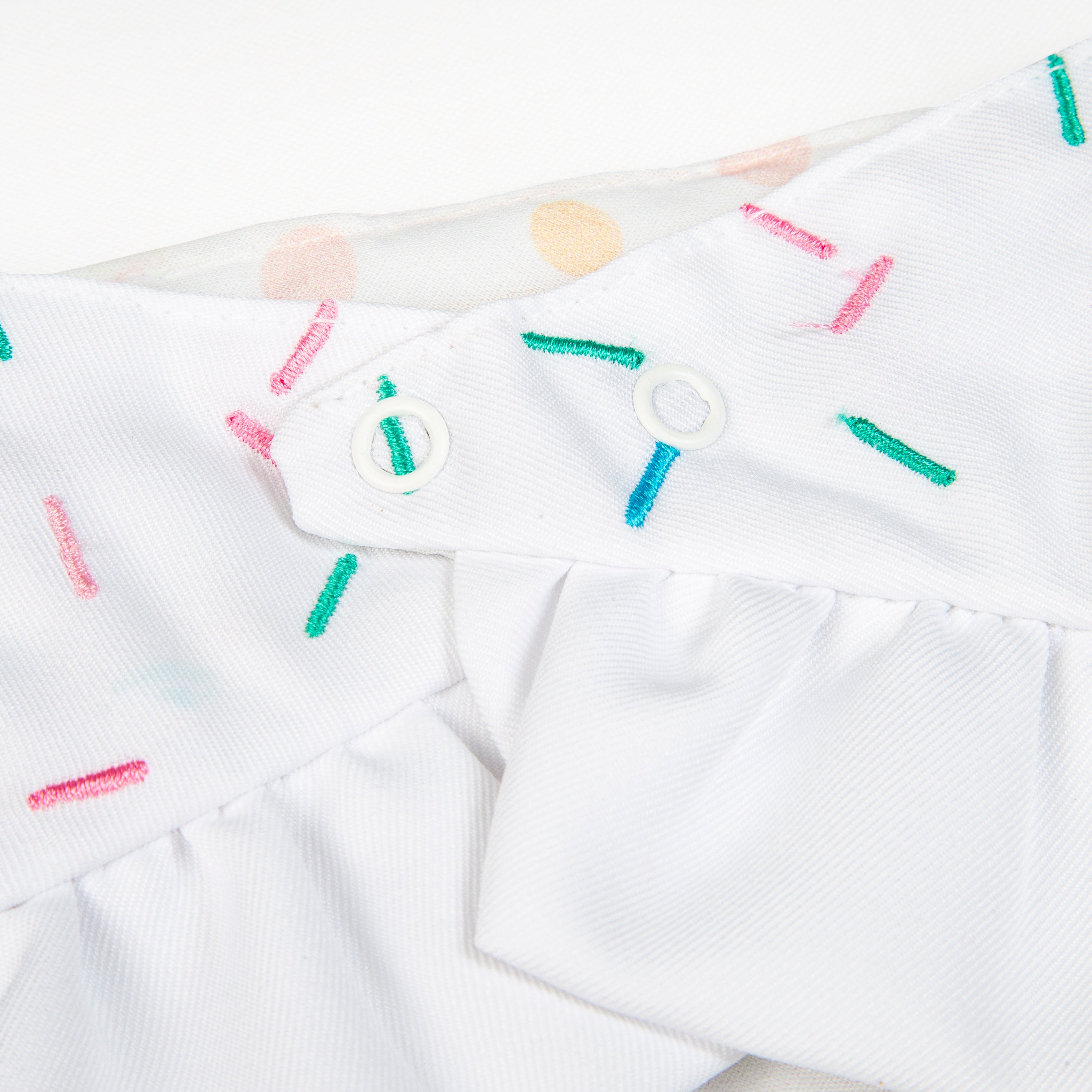 Bandana Pawty Time Skirt Birthday for Dogs Colorful image 3