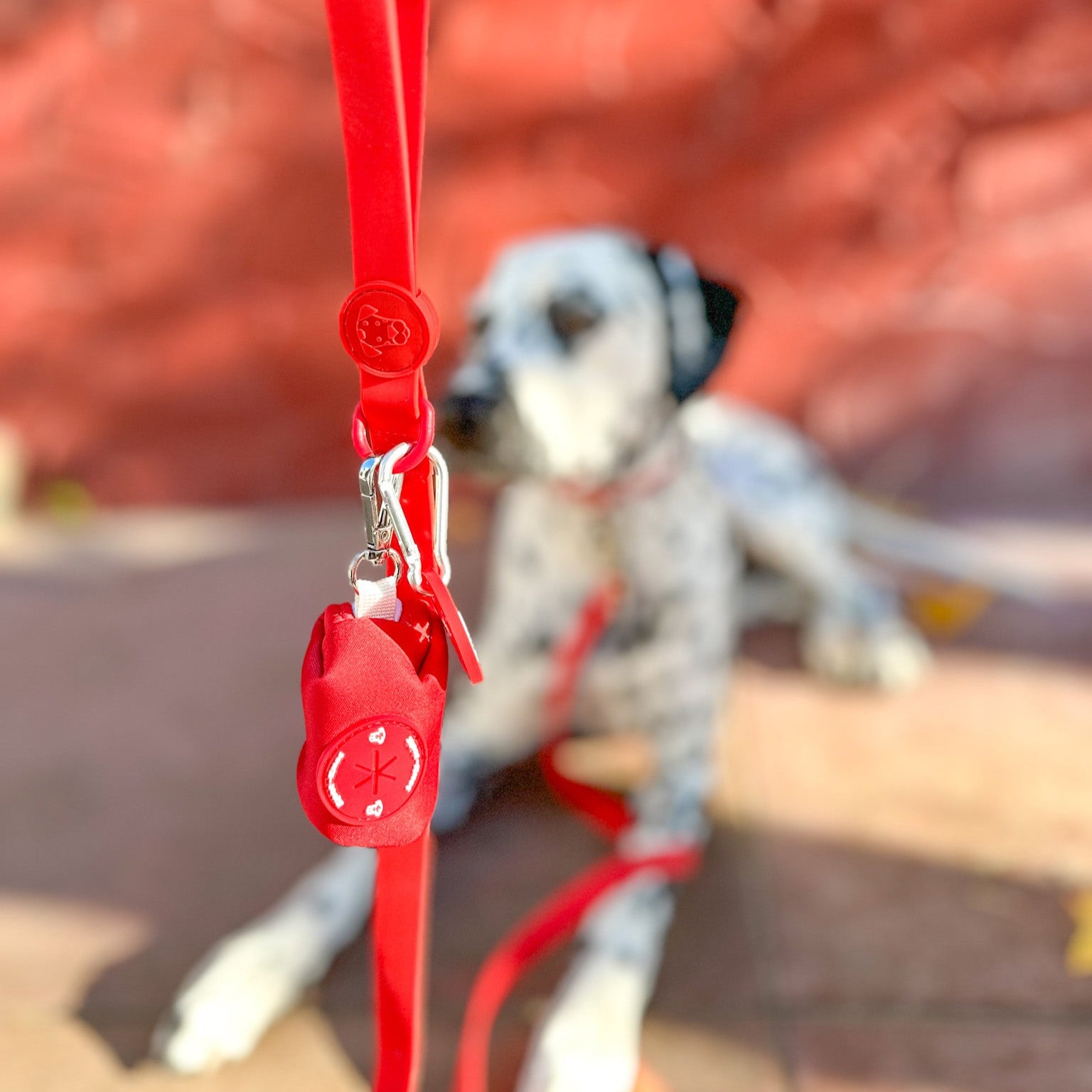 The Essential Poop Bag Holder image 6