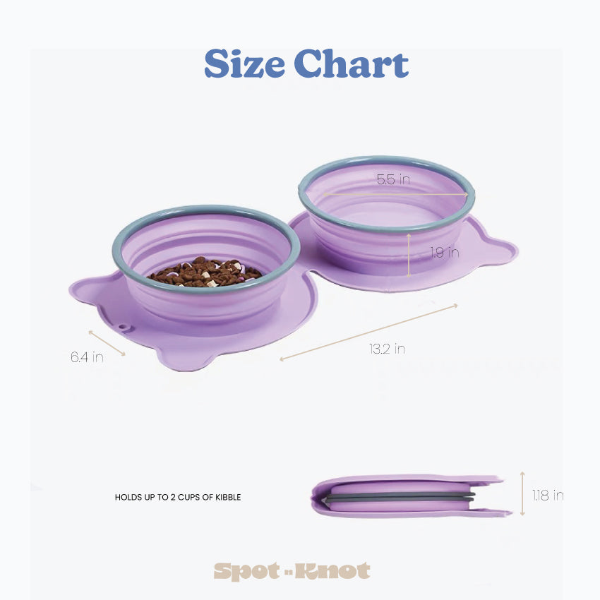 Travel Silicone Collapsible Bowl | Double Slow feeder for Dogs and Cats and Water Bowl image 3