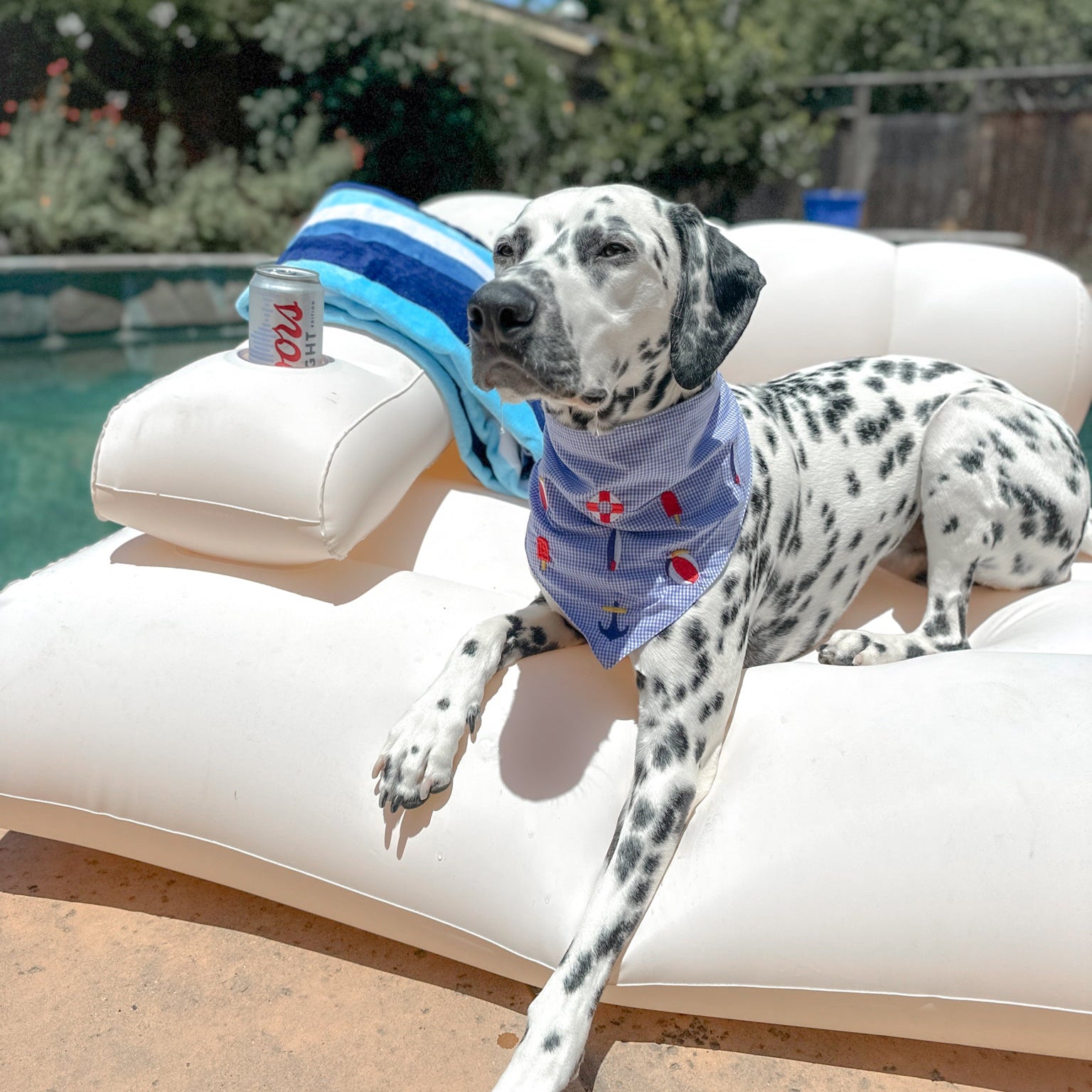 Dog days of summer