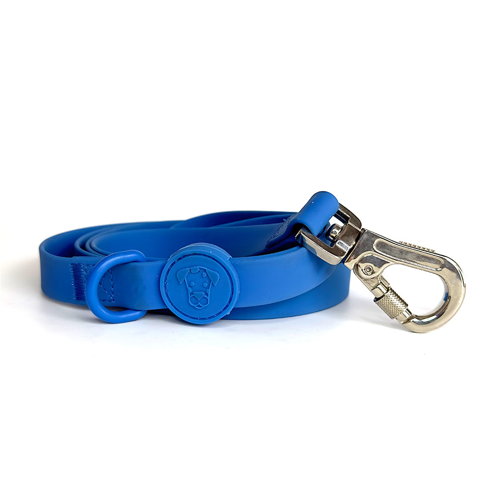  Waterproof Dog Leash | Soft-Touch | 5ft image 1