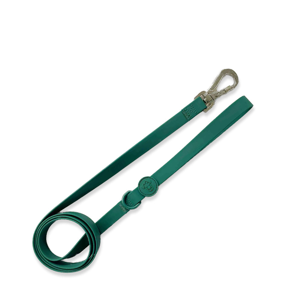 Dog Walk Bundle | Leash & Collar image 14
