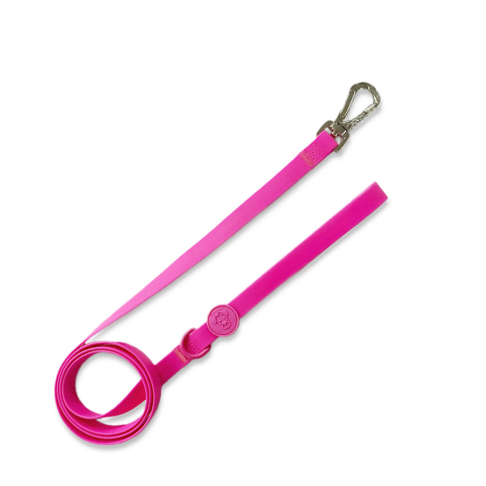 Dog Walk Bundle | Leash & Collar image 16