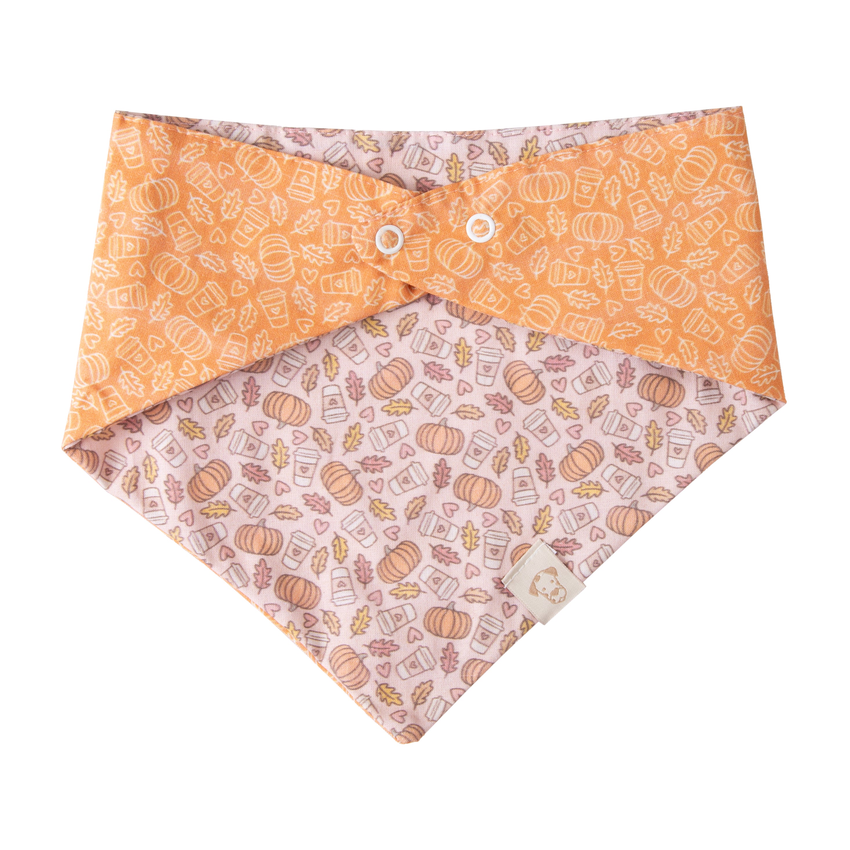 Pet Bandana Fall Pumpkin Spice | Autumn Collection Reversible image 1