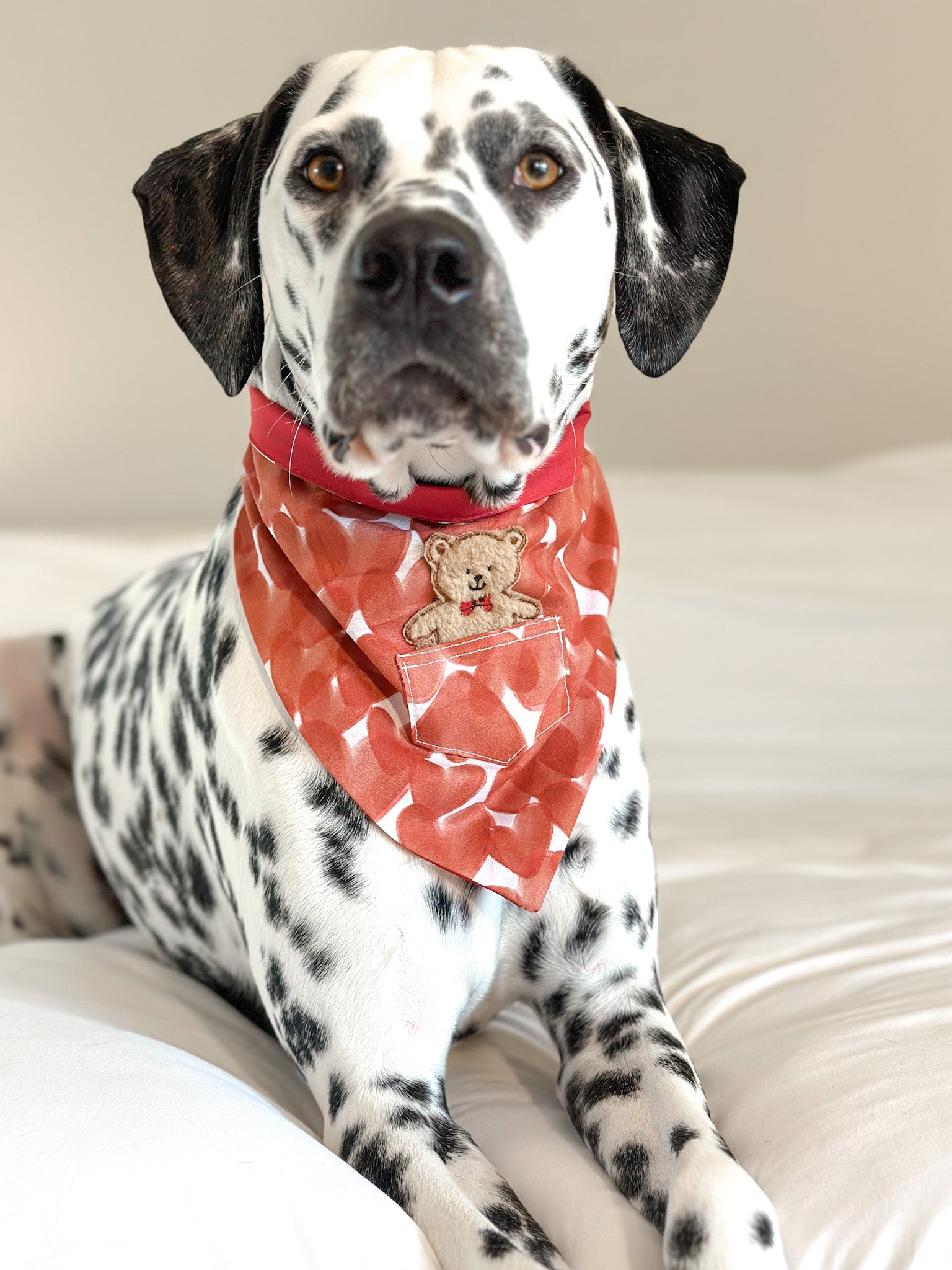 Dog Bandana Love Pocket | Valentines Day | Bear image 1