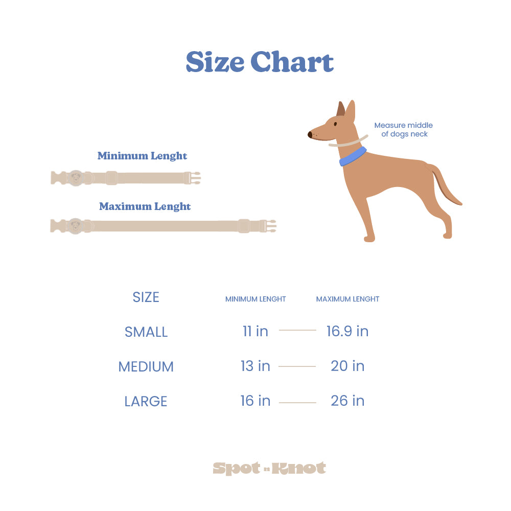 Dog Walk Bundle | Leash & Collar image 8
