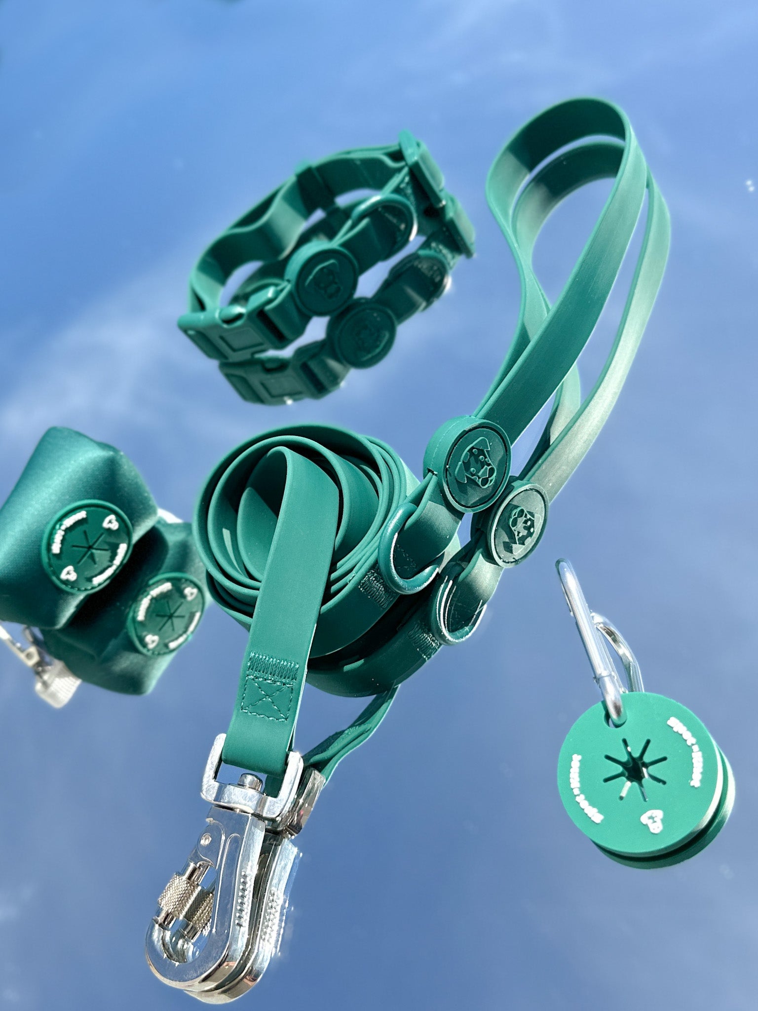 Dog Walk Bundle | Leash & Collar image 0