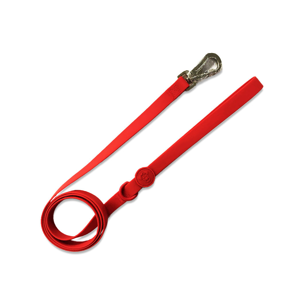 Dog Walk Bundle | Leash & Collar image 12