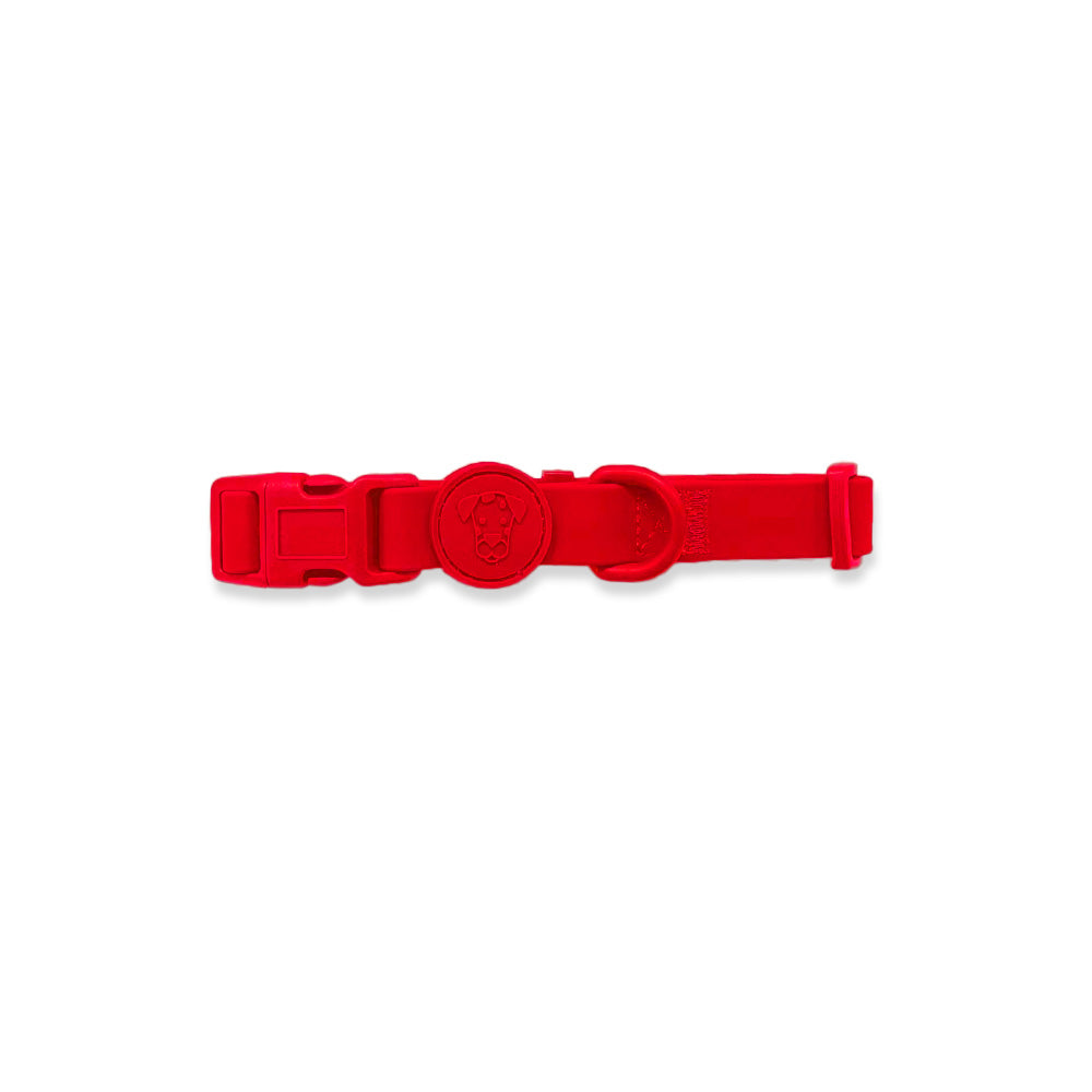 Dog Walk Bundle | Leash & Collar image 11