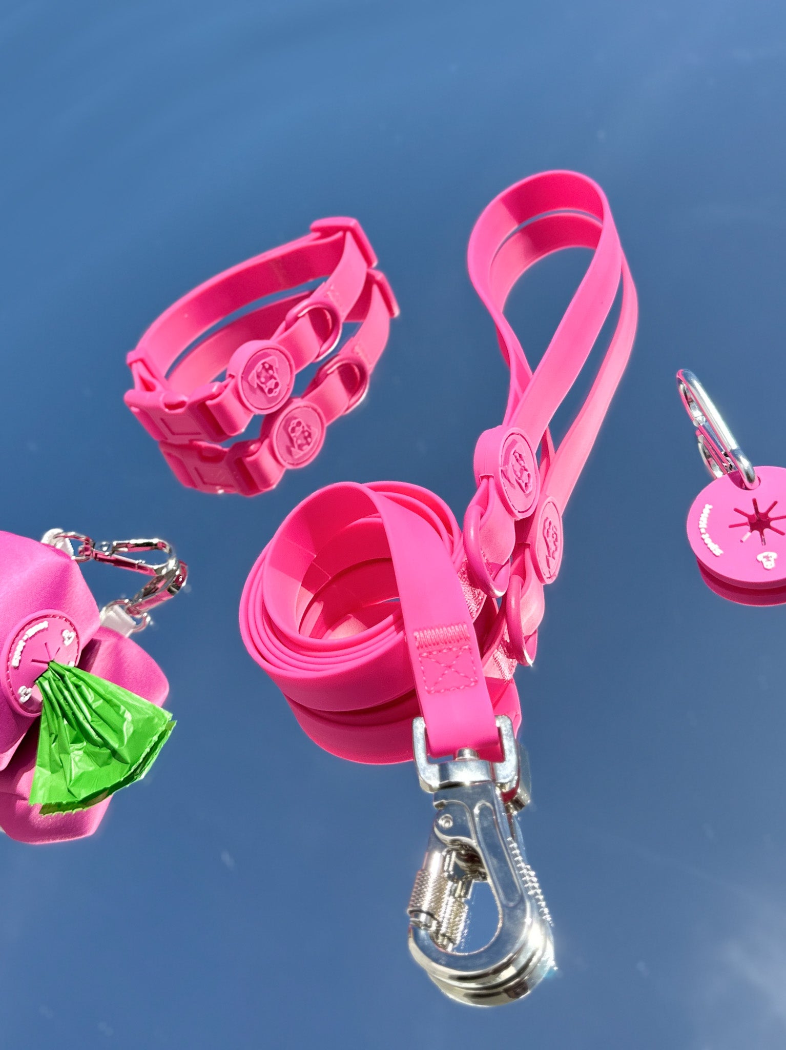 The Essential Dog Bundle | Leash - Collar - Accessories - L, Magenta image