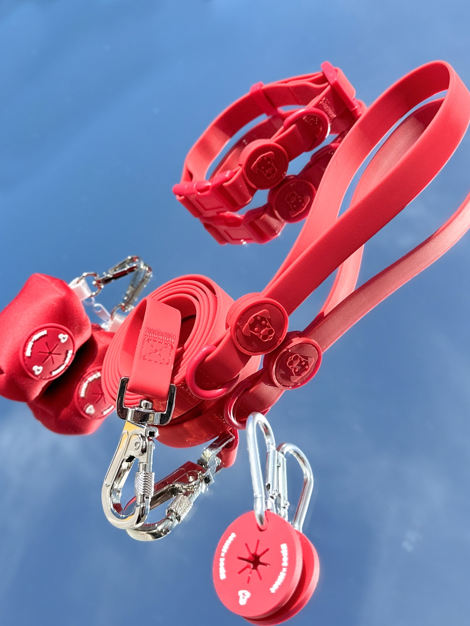 Dog Walk Bundle | Leash & Collar - L, Chili image