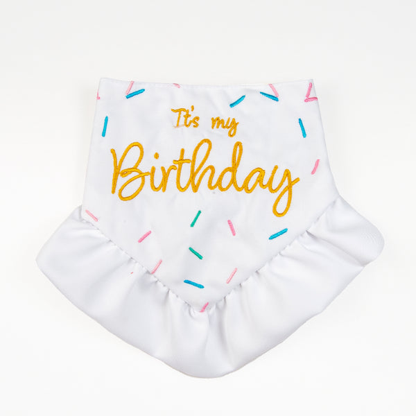 Bandana Pawty Time Skirt Birthday for Dogs Colorful image 0