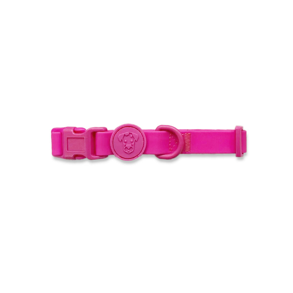 Dog Walk Bundle | Leash & Collar image 15