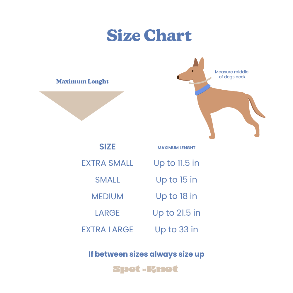 Bandana Birthday Boy Blue and Green | Embroidered Pawty Time Pet Bandana for Dog & Cat with Snap image 1