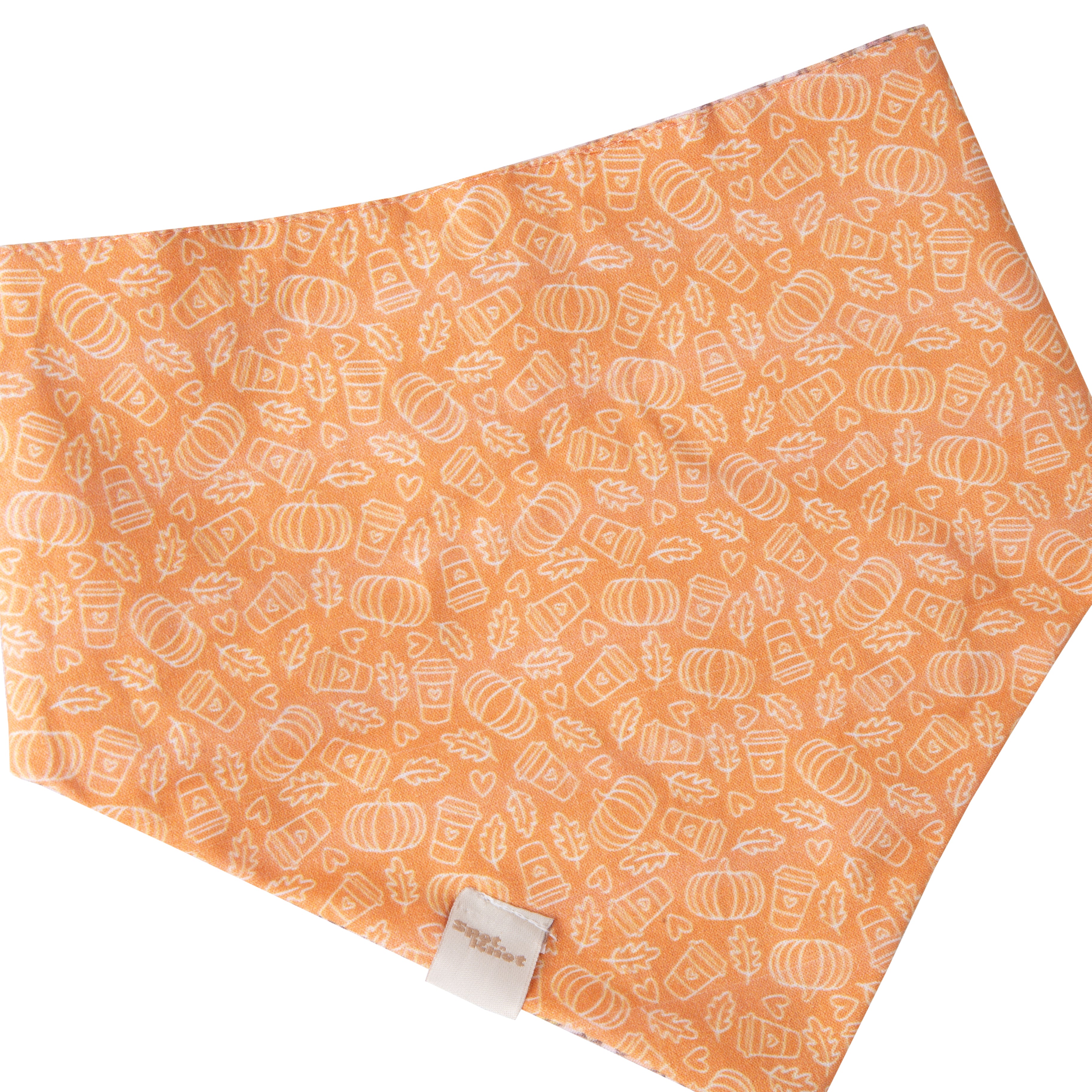 Pet Bandana Fall Pumpkin Spice | Autumn Collection Reversible image 4